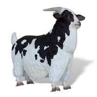 Wooly Goat Sculpture