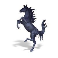 Thumbnail of Black Stallion