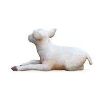 Thumbnail of Baby Goat Lying Down