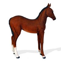 Thumbnail of Quarter Horse Foal 2