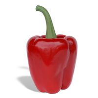 Thumbnail for Red Bell Pepper