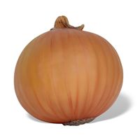 Thumbnail of Onion