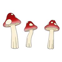Thumbnail of Mushroom Umbrella