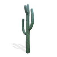 Thumbnail of 13ft Cactus