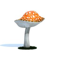 5ft Mushroom Canopy