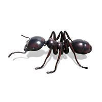 Thumbnail of Ant Sculpture