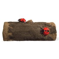 Thumbnail of Ladybug Log Crawler