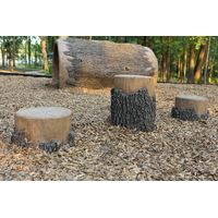 Thumbnail of Stump Steppers