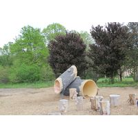 Thumbnail of Log Climber and Slide