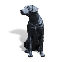 Thumbnail for Labrador Sitting