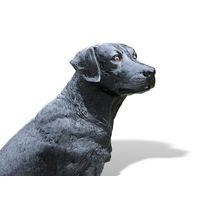 Thumbnail of Labrador Sitting