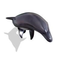 Thumbnail of Small Dolphin Sculpture