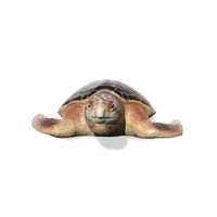 Thumbnail of Loggerhead Turtle