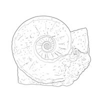 Thumbnail of Ammonite Climber