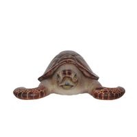 Thumbnail of Hawksbill Sea Turtle