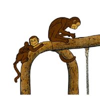 Thumbnail of Monkey Swing