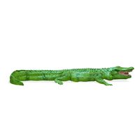 8ft American Alligator