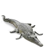 4ft Crocodile Play Sculpture