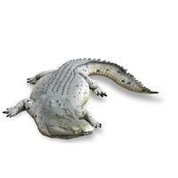 Thumbnail of 11ft Crocodile Play Sculpture