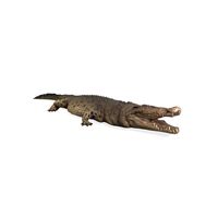 Thumbnail of 15ft Crocodile