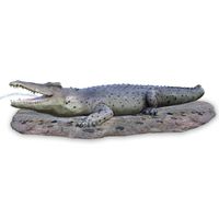 Thumbnail of 29ft Crocodile Play Sculpture