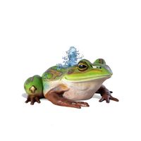 Thumbnail of Colorful Frog Play Sculpture