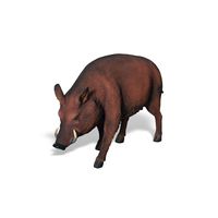 Thumbnail of Wild Boar Park Sculpture
