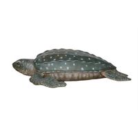 Thumbnail of Leatherback Turtle