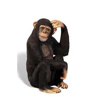 Thumbnail of Chimpanzee