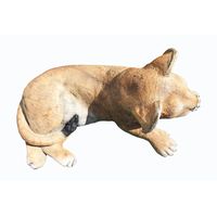 Thumbnail of Lying Lion Cub