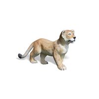 Thumbnail of Lion Cub Standing