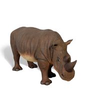 Rhinoceros Baby