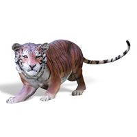Thumbnail for Bengal Tiger