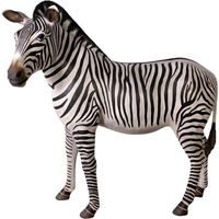 Thumbnail of Zebra