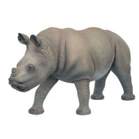 Thumbnail for Baby Rhinoceros