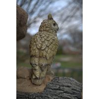 Thumbnail of Wise Owl Sculpture