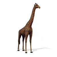 17ft Giraffe