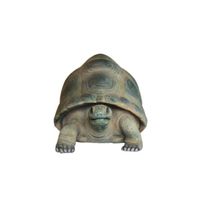 Thumbnail of Aldabra Tortoise