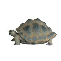 Thumbnail of Aldabra Tortoise
